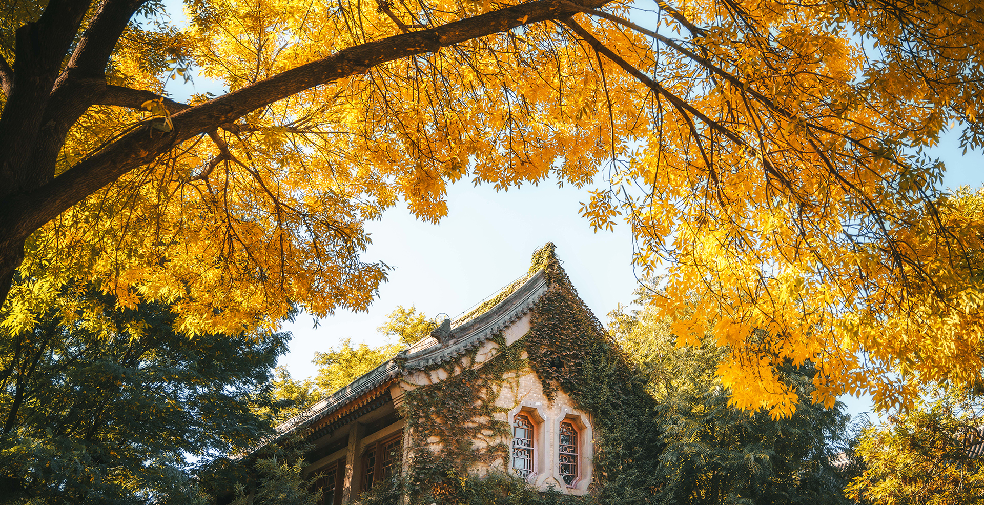 中国·BB贝博艾弗森(股份)有限公司-官方网站