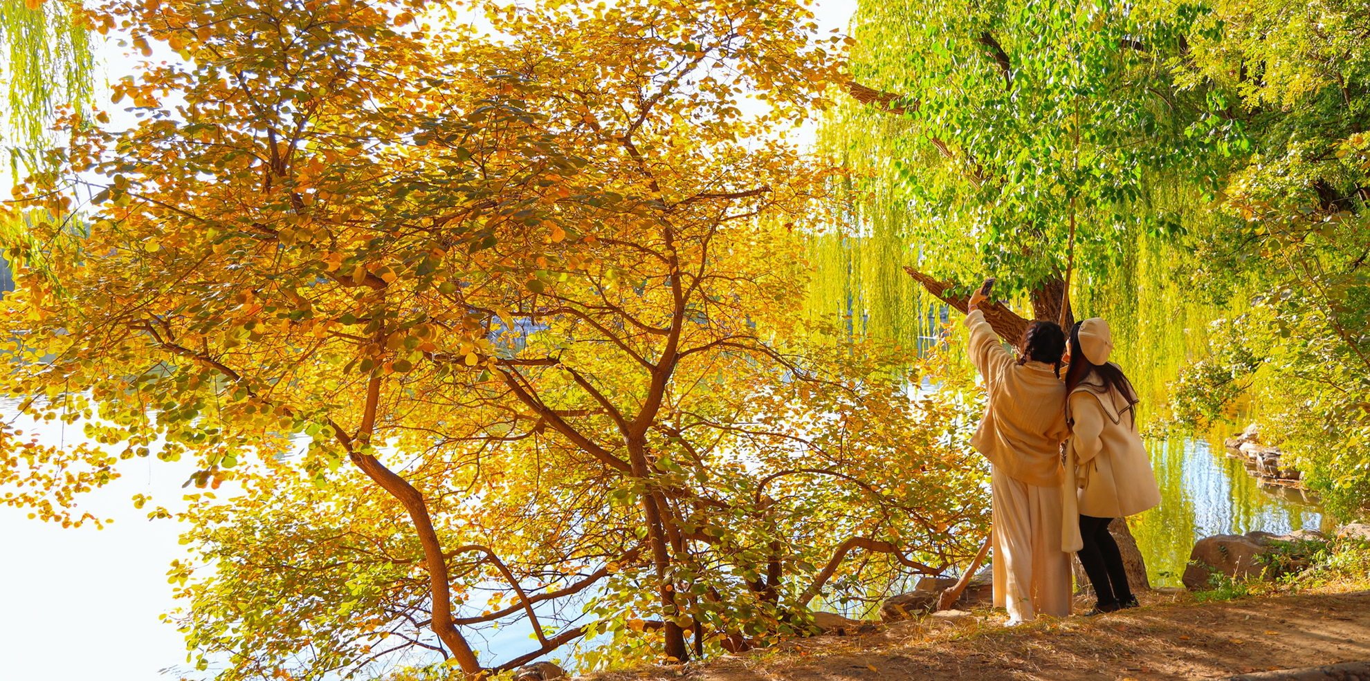 中国·BB贝博艾弗森(股份)有限公司-官方网站