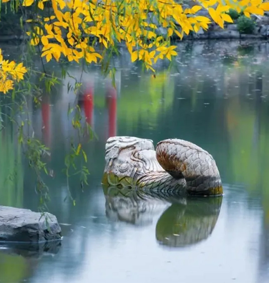 中国·BB贝博艾弗森(股份)有限公司-官方网站