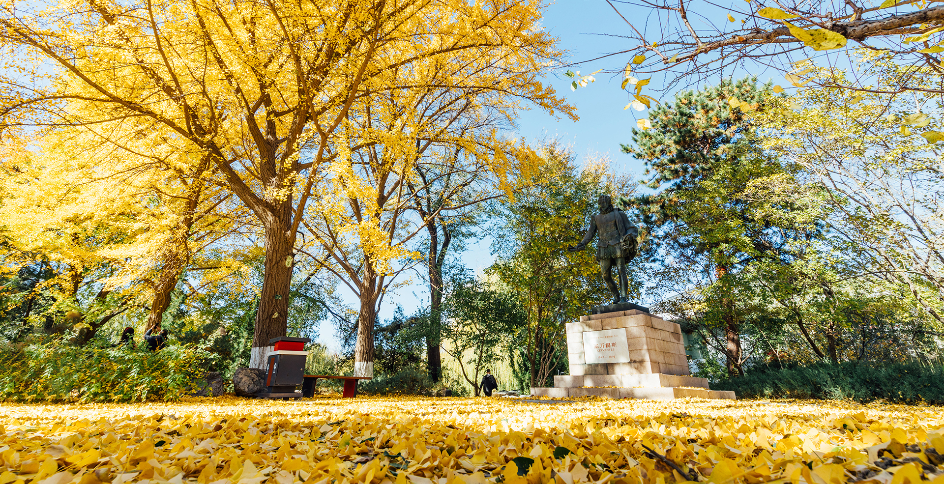 中国·BB贝博艾弗森(股份)有限公司-官方网站