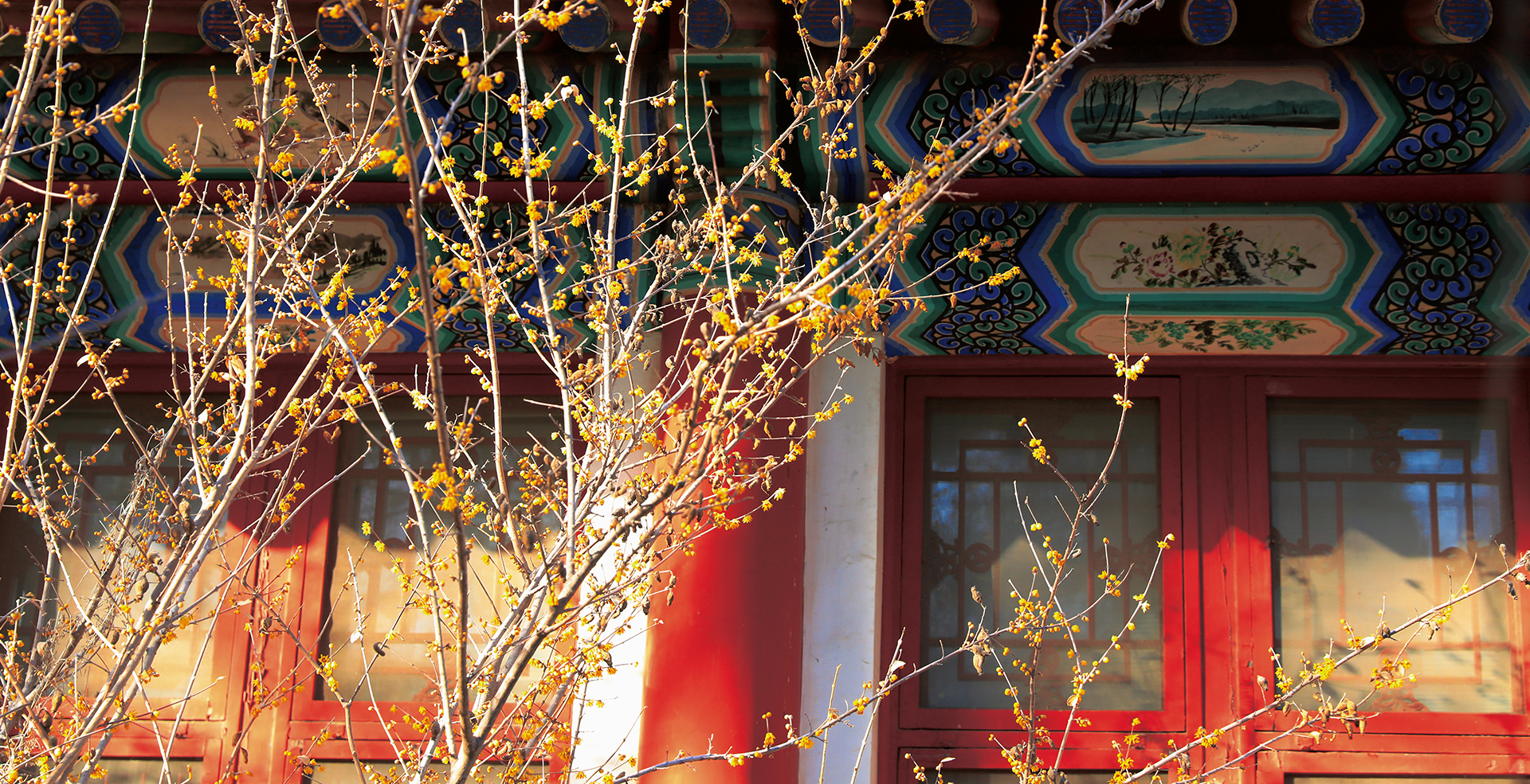 中国·BB贝博艾弗森(股份)有限公司-官方网站