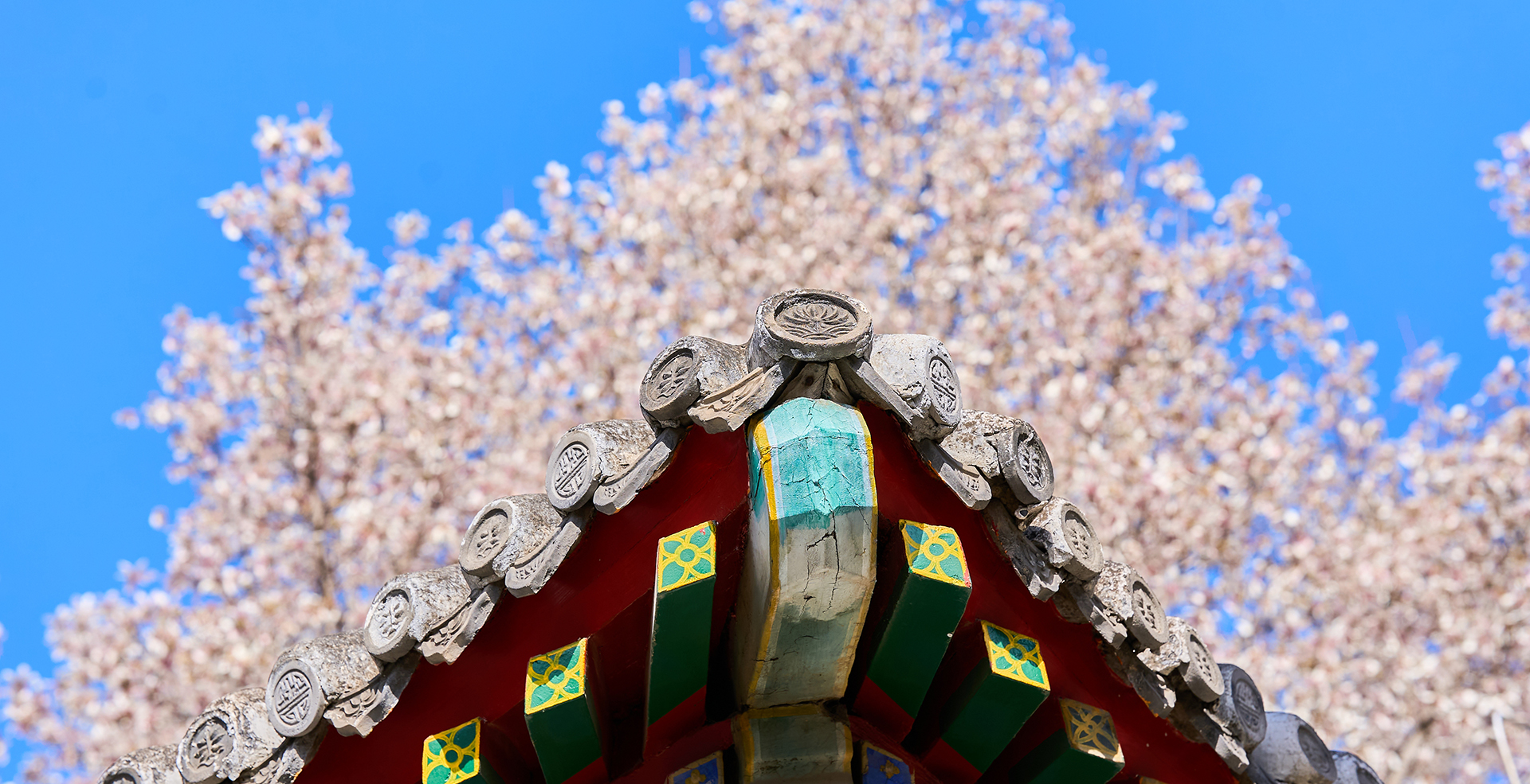 中国·BB贝博艾弗森(股份)有限公司-官方网站