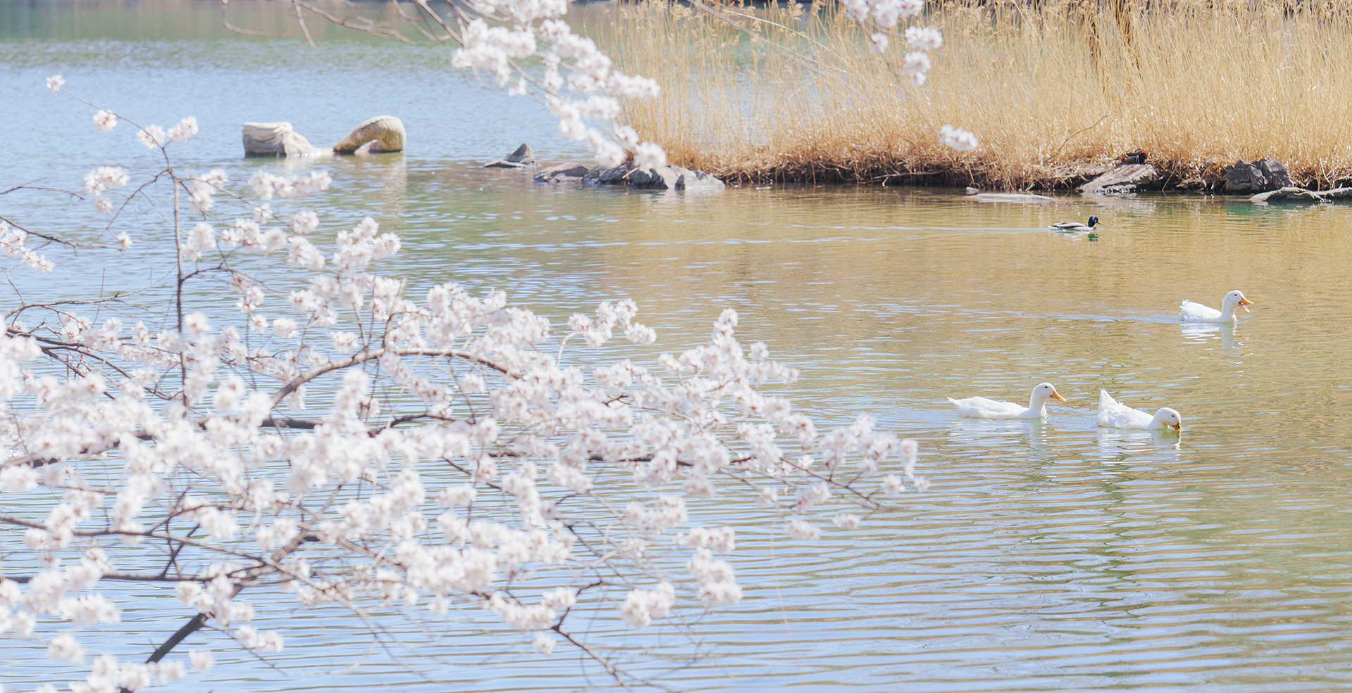中国·BB贝博艾弗森(股份)有限公司-官方网站
