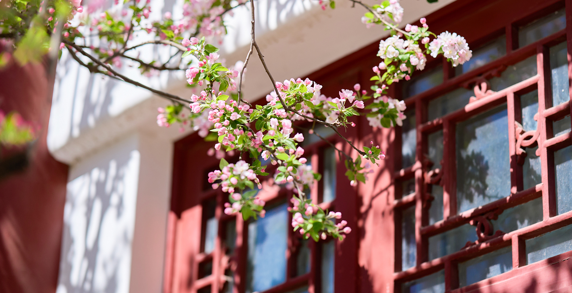 中国·BB贝博艾弗森(股份)有限公司-官方网站