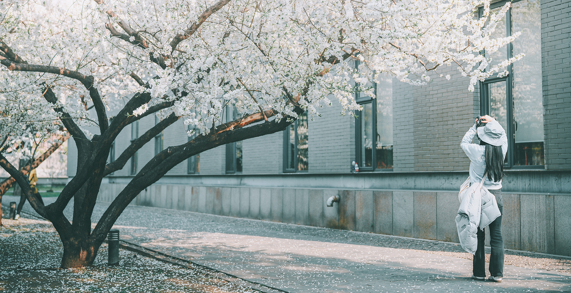 中国·BB贝博艾弗森(股份)有限公司-官方网站