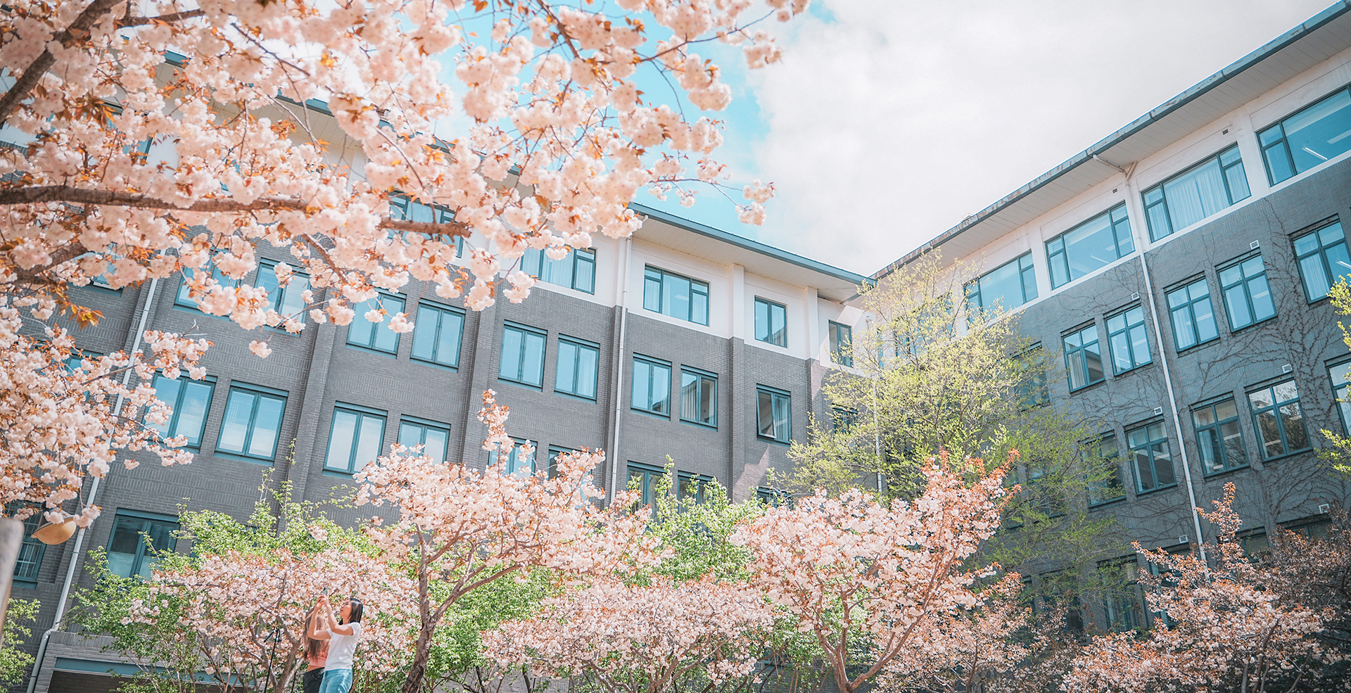 中国·BB贝博艾弗森(股份)有限公司-官方网站