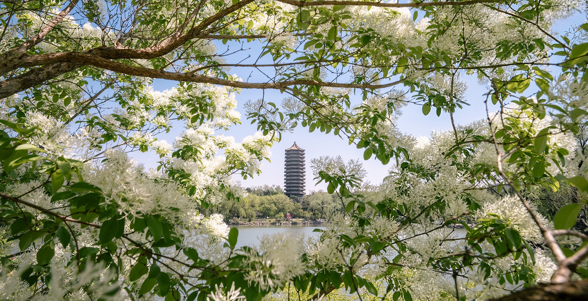 中国·BB贝博艾弗森(股份)有限公司-官方网站