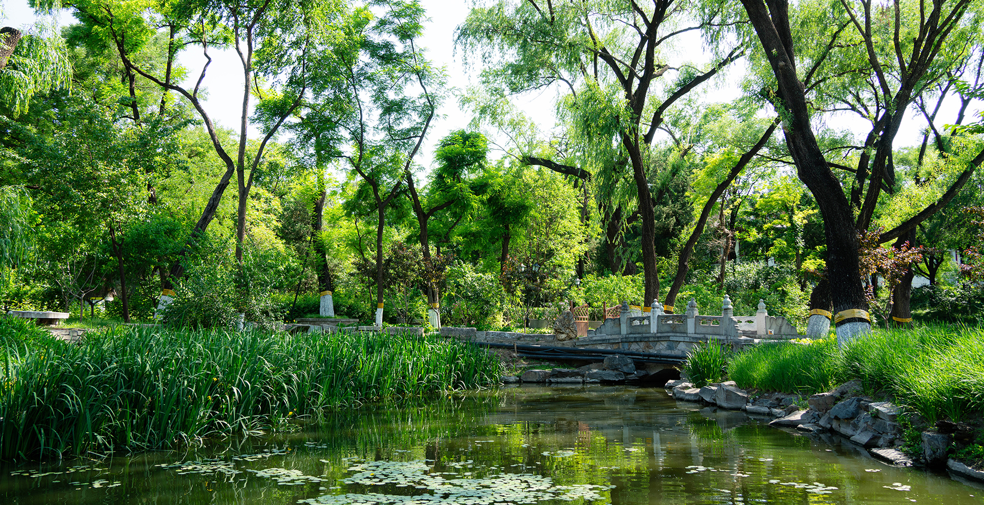 中国·BB贝博艾弗森(股份)有限公司-官方网站