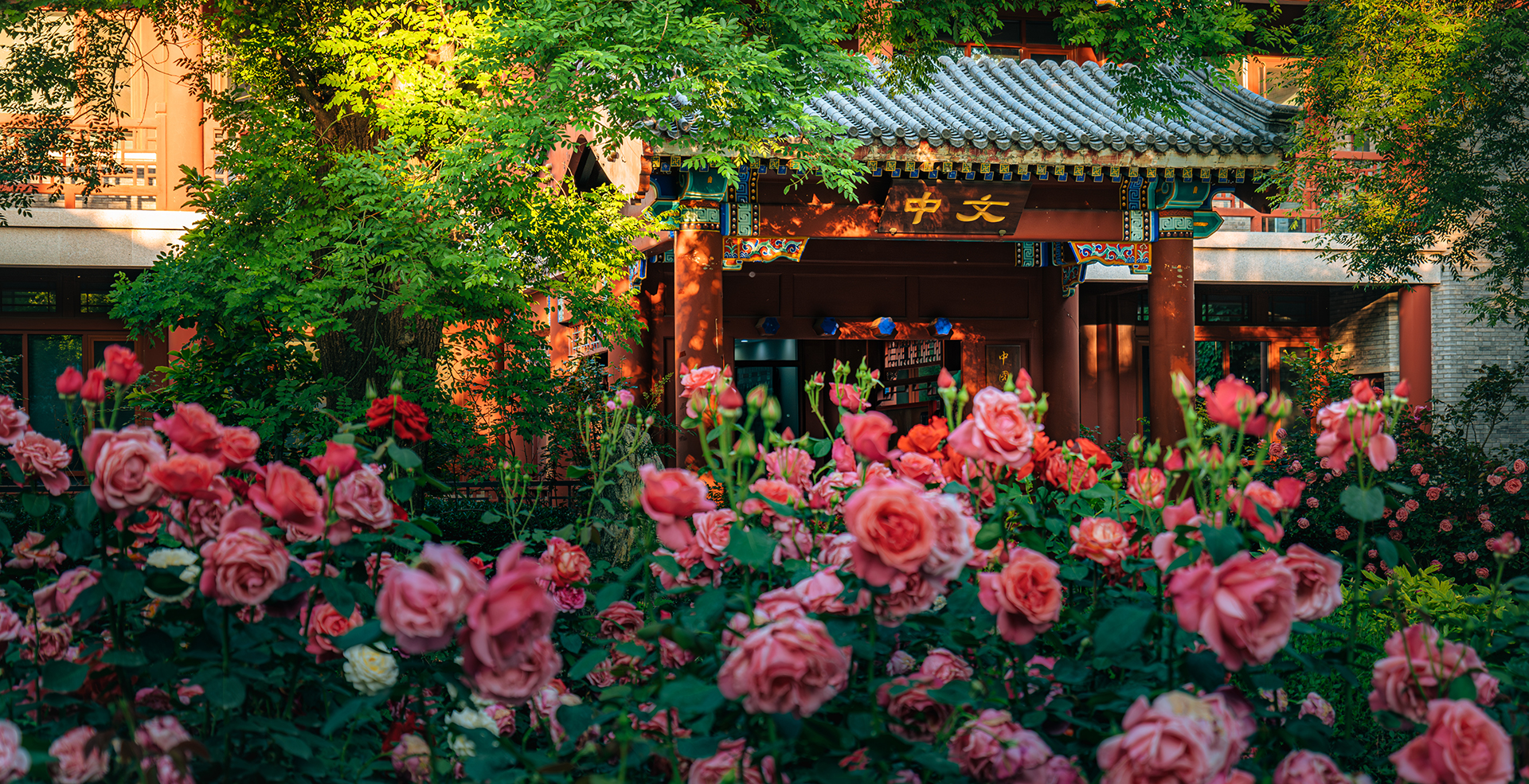 中国·BB贝博艾弗森(股份)有限公司-官方网站