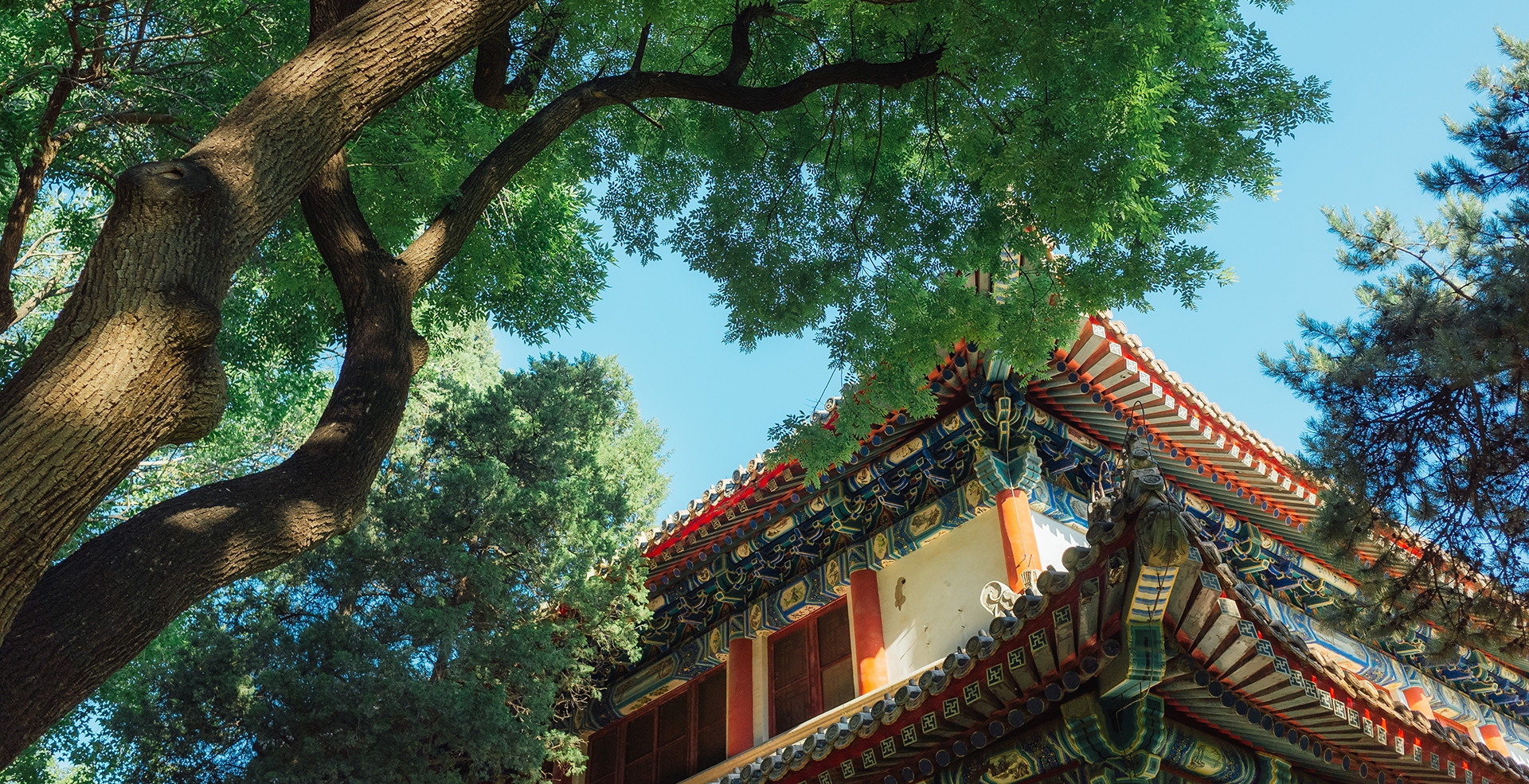 中国·BB贝博艾弗森(股份)有限公司-官方网站