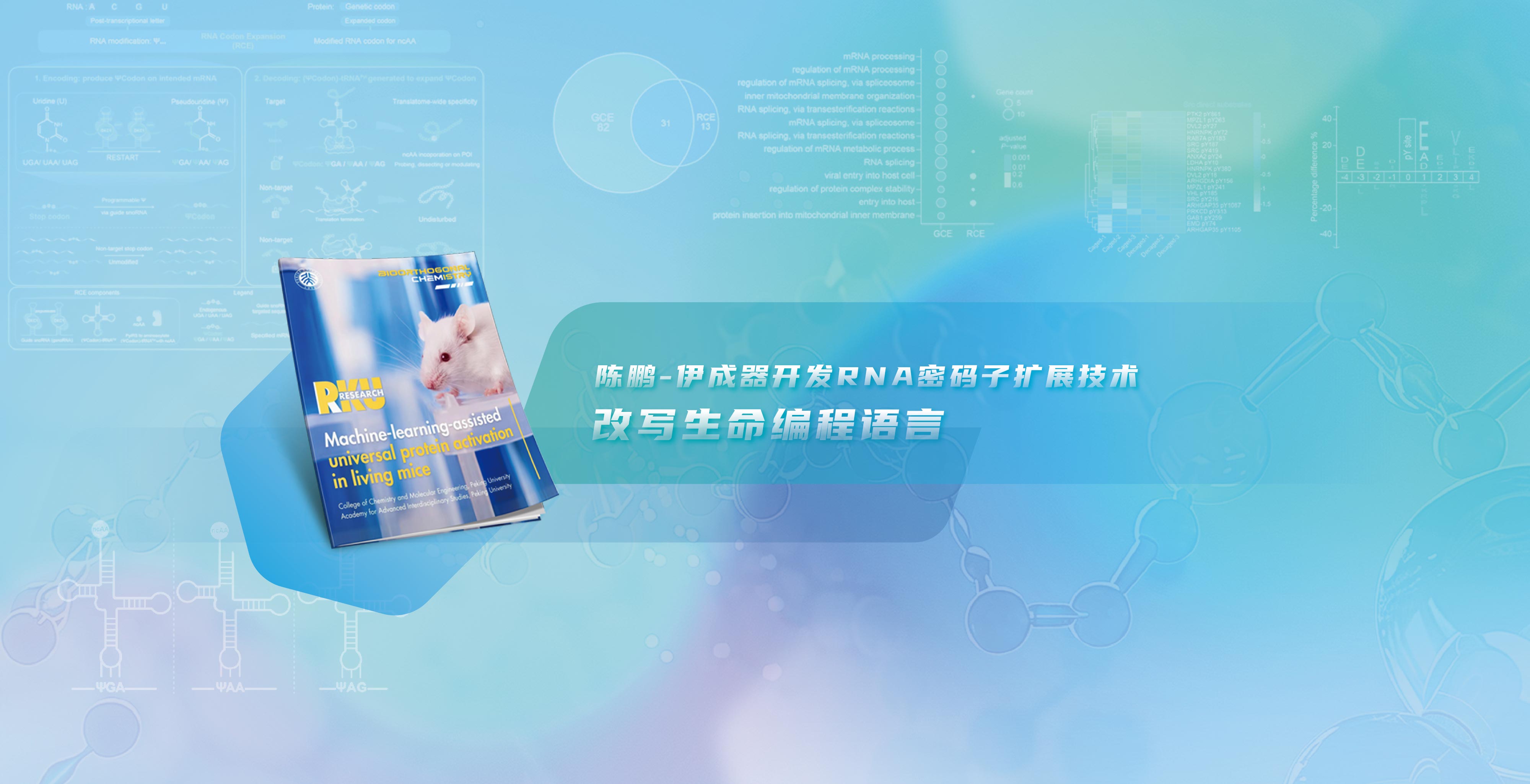 中国·BB贝博艾弗森(股份)有限公司-官方网站