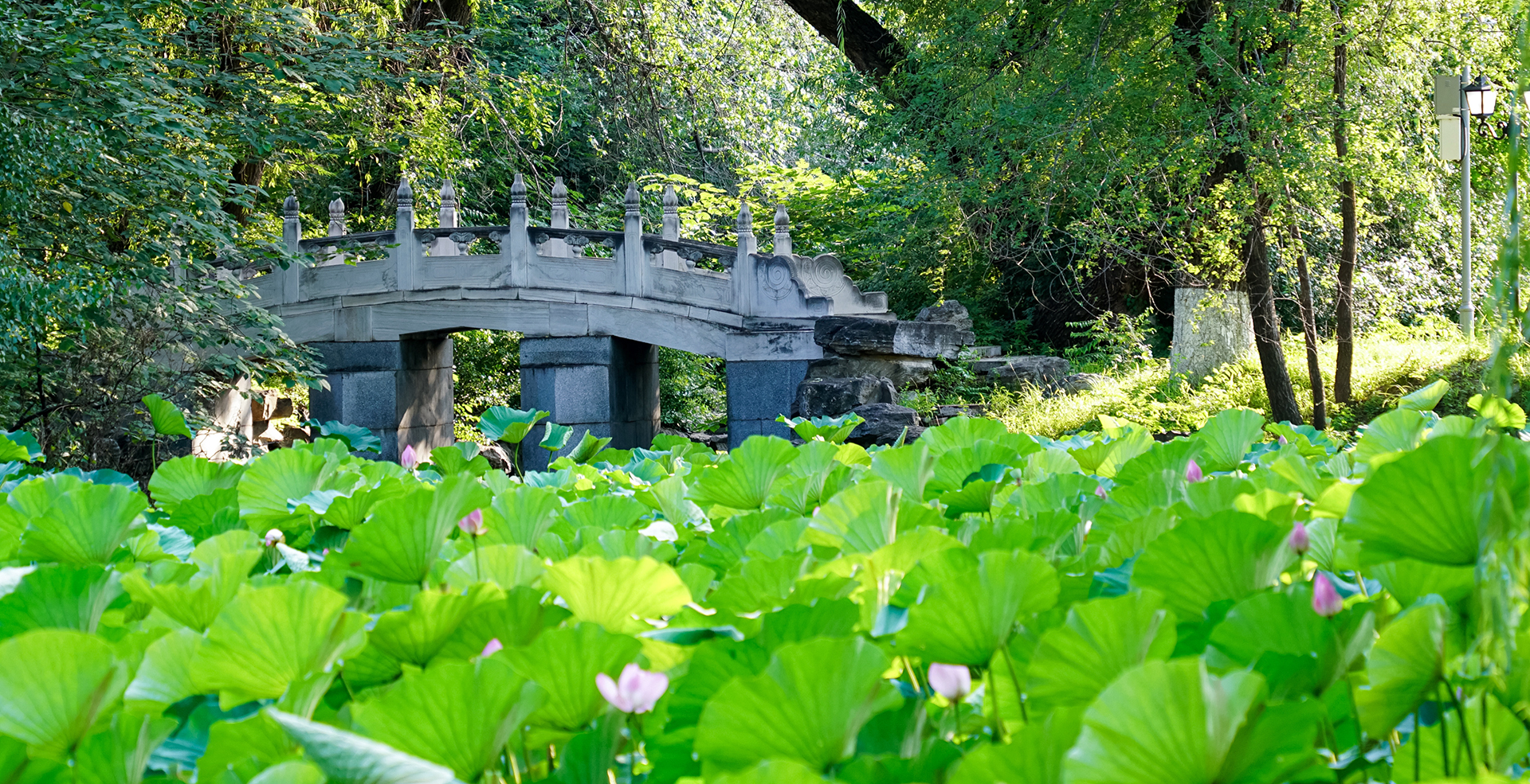 中国·BB贝博艾弗森(股份)有限公司-官方网站