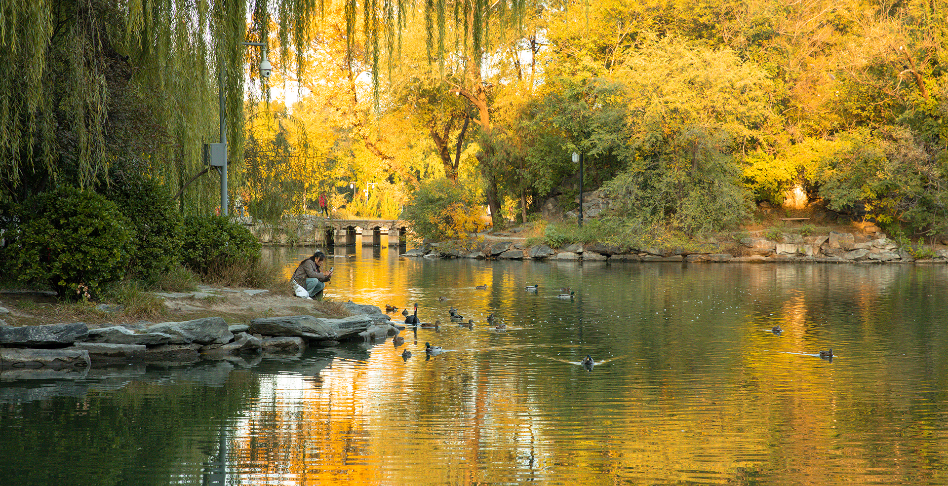 中国·BB贝博艾弗森(股份)有限公司-官方网站