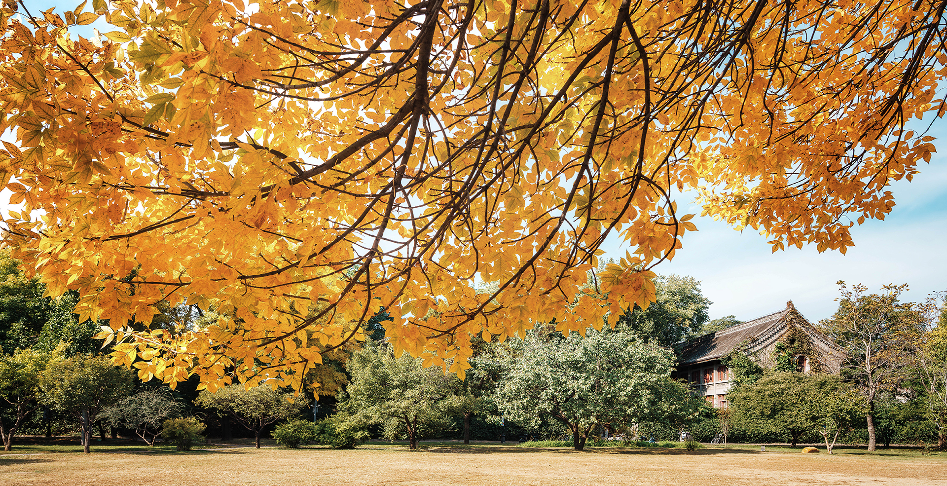 中国·BB贝博艾弗森(股份)有限公司-官方网站