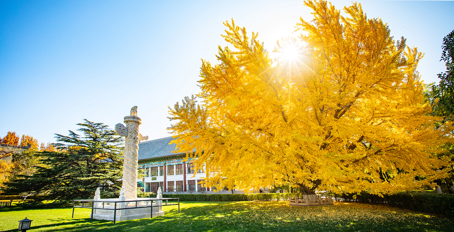 中国·BB贝博艾弗森(股份)有限公司-官方网站