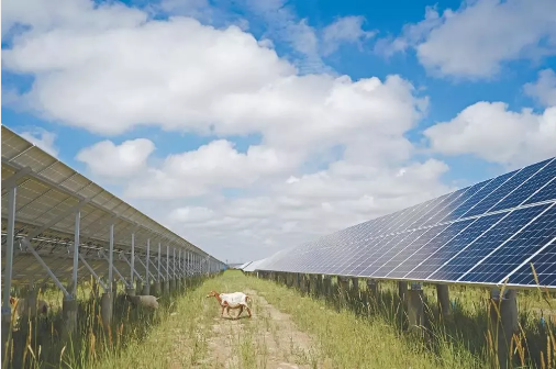 湖北BB贝博艾弗森绿色能源有限公司