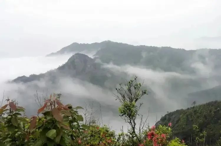 湖北BB贝博艾弗森绿色能源有限公司